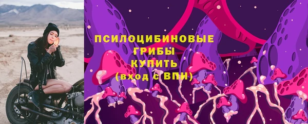 мет Магас