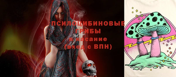 мет Магас