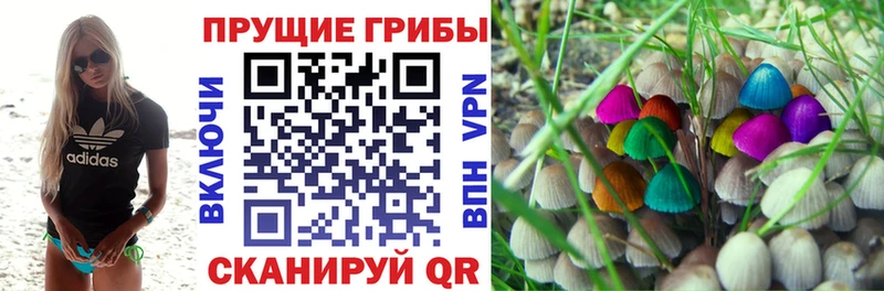 Галлюциногенные грибы GOLDEN TEACHER Купить закладки Кудрово